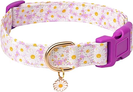 Dog Collar with Dangle Charm