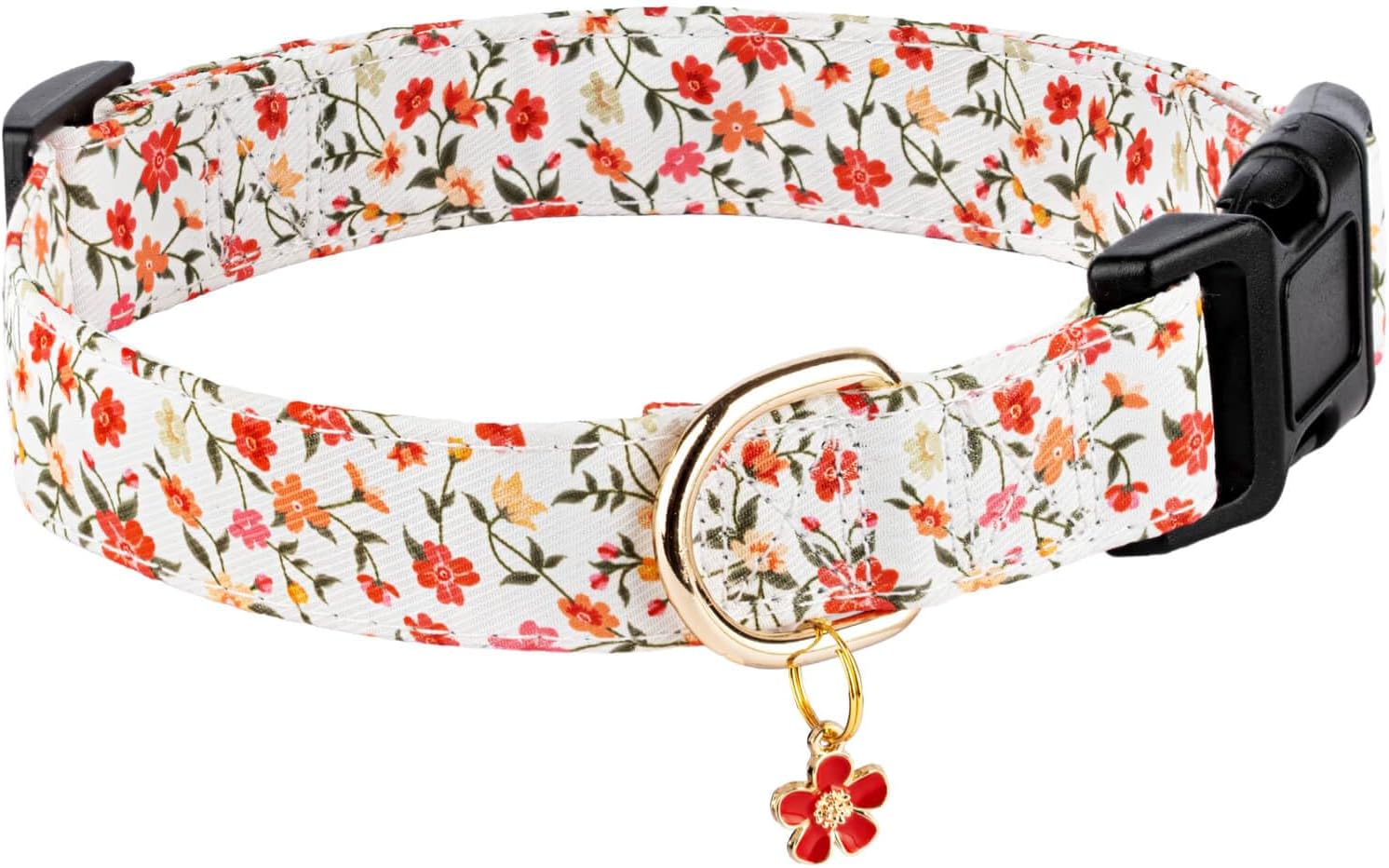 Dog Collar with Dangle Charm