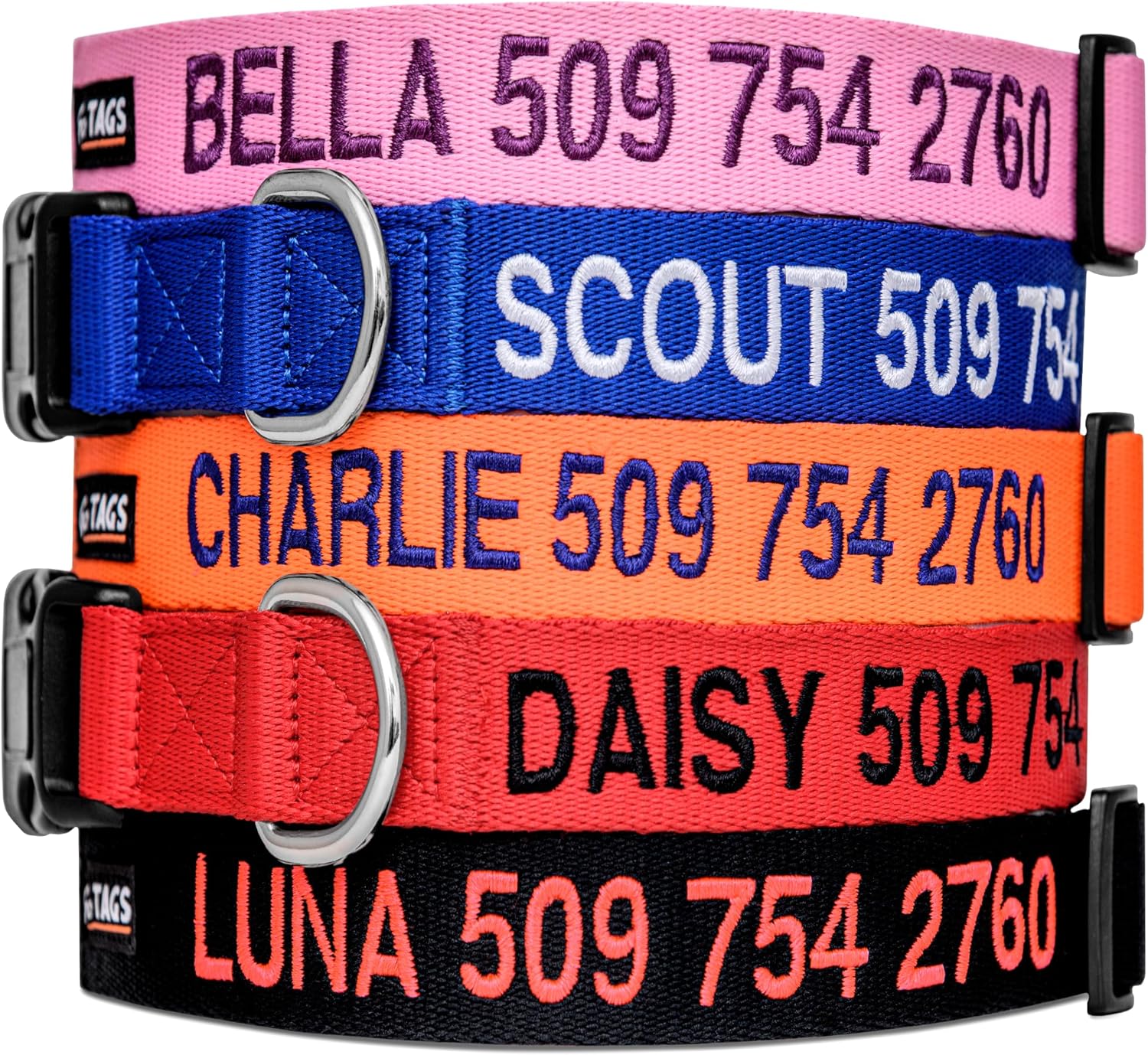 Personalized Dog Collar