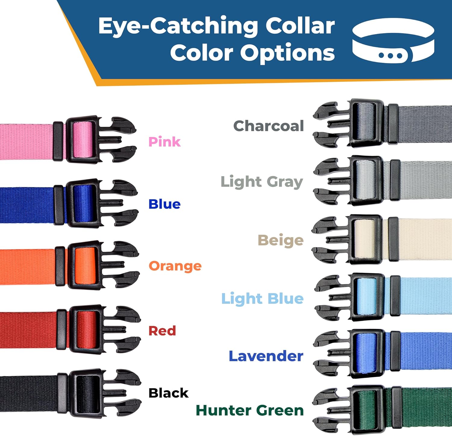 Personalized Dog Collar