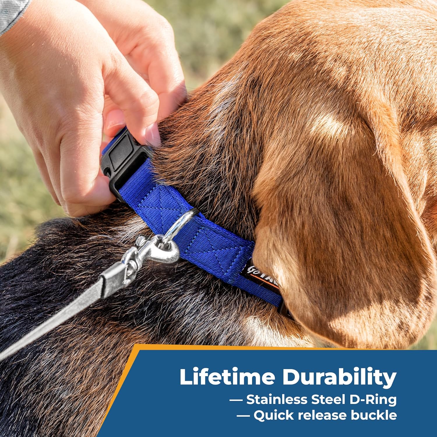 Personalized Dog Collar